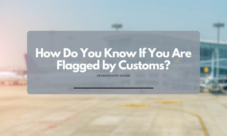 How Do You Know If You Are Flagged by Customs?